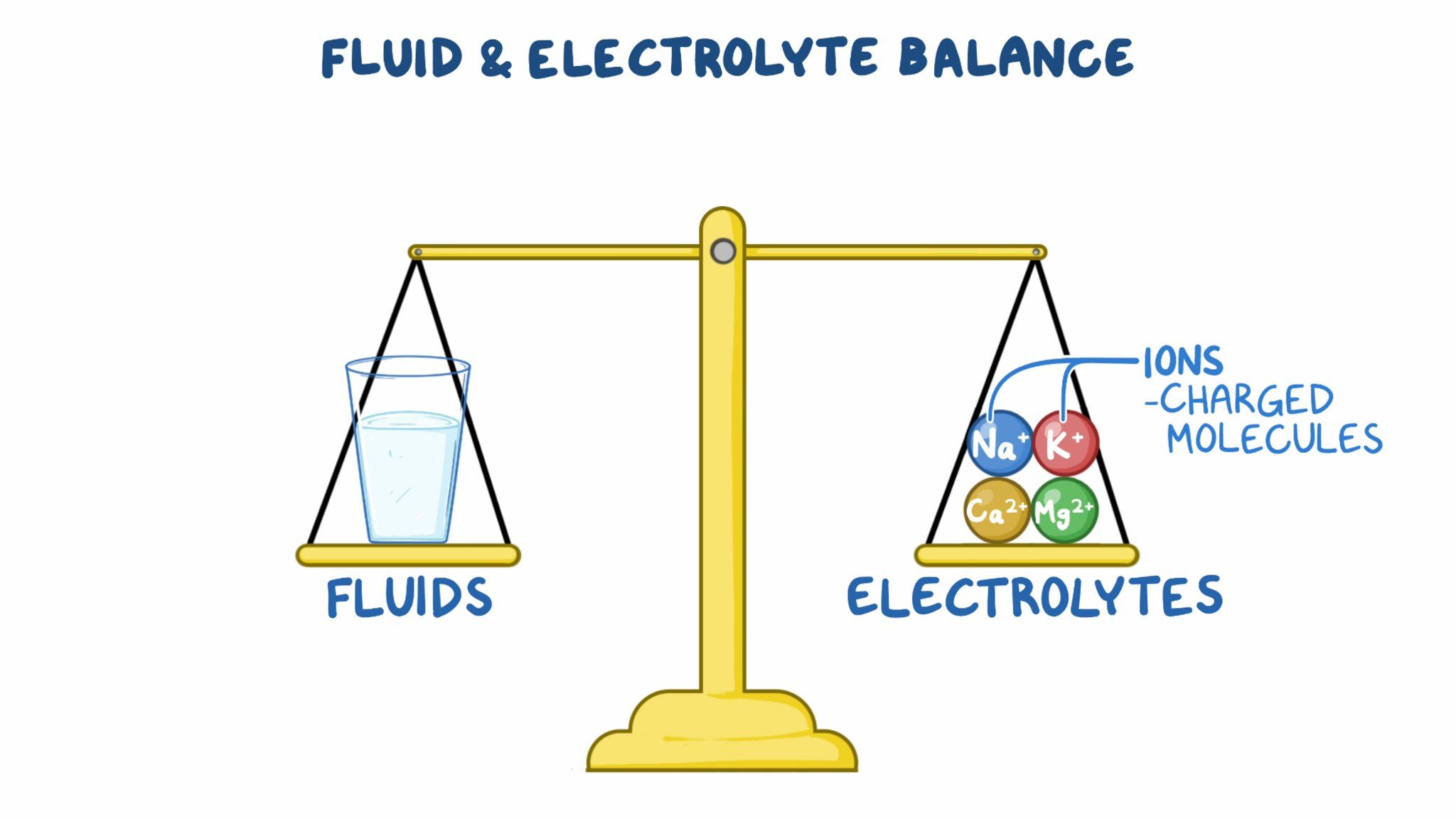 fluid and electrolytes, acid and base