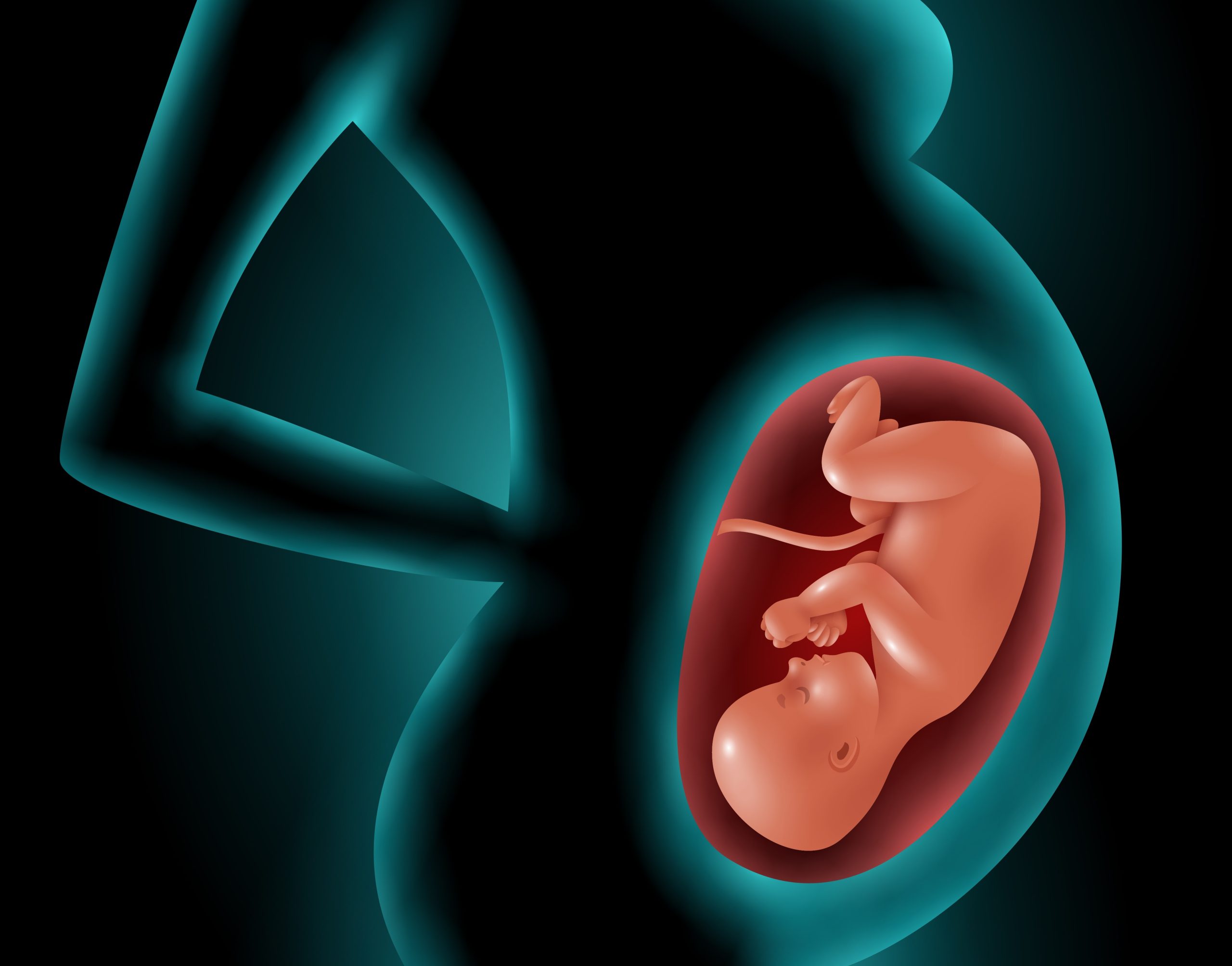 maternal physiology quiz