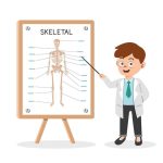 Skeletal System Quiz