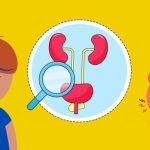 Assessment of kidney and urinary tract function