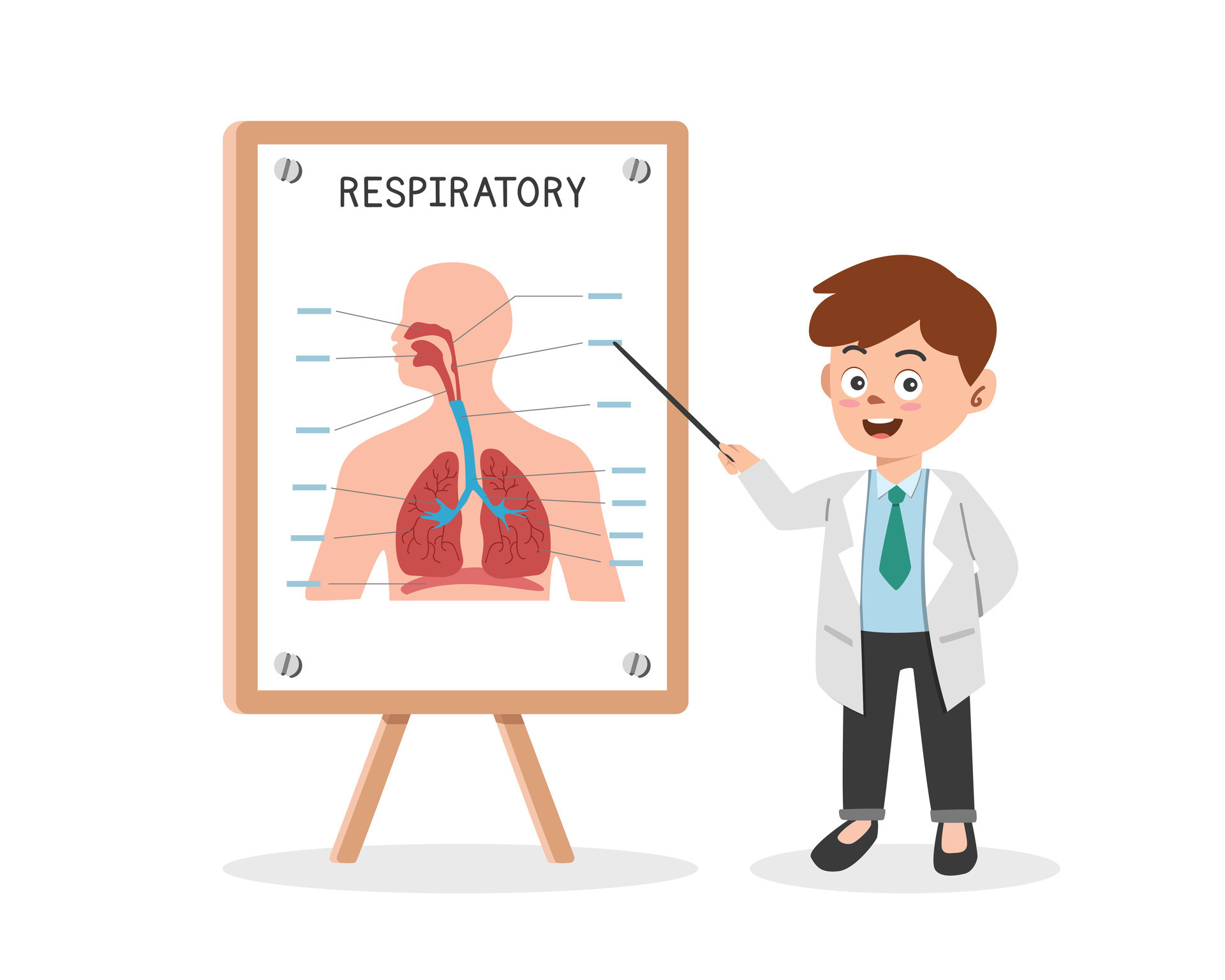 Respiratory System Quiz
